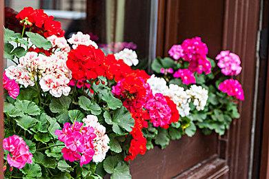 《雷顿教授》系列游戏全球销量已超1800万